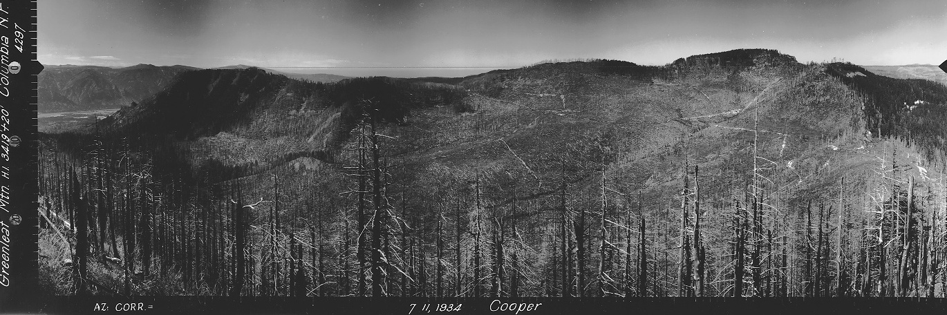 greenleaf peak lookout