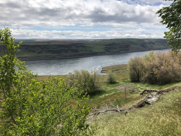 Lewis and Clark Overlook