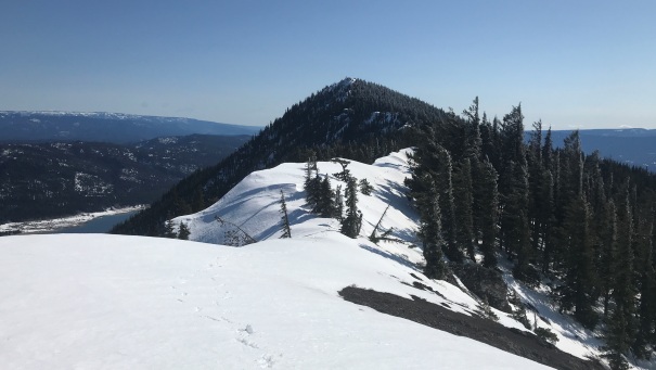 Mount Baldy