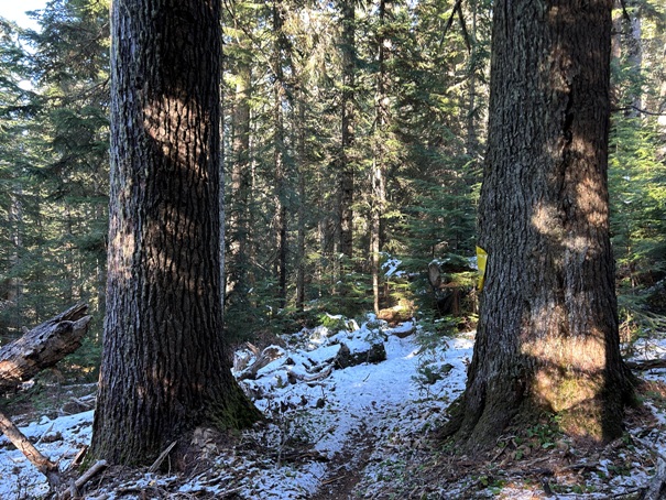 divide ridge trail