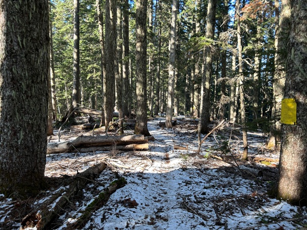 divide ridge trail