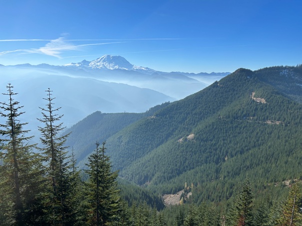 mount rainier
