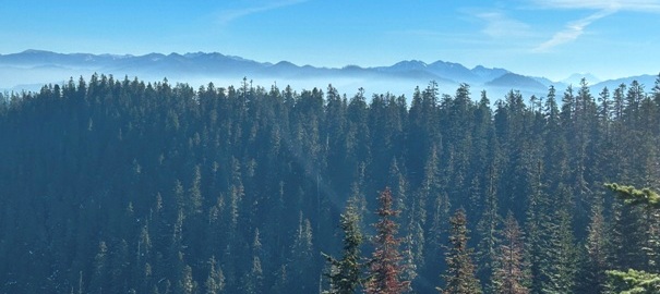 cascades