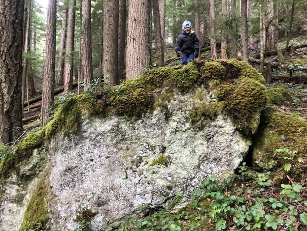 snoquera falls trail