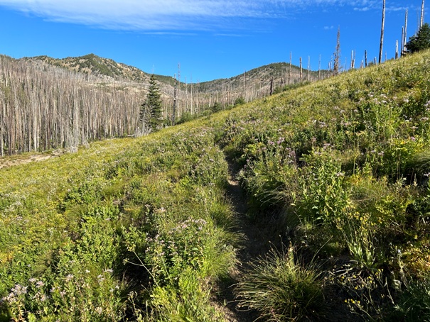 Miners Basin