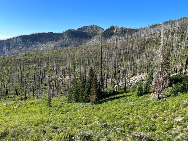 Uno Peak 