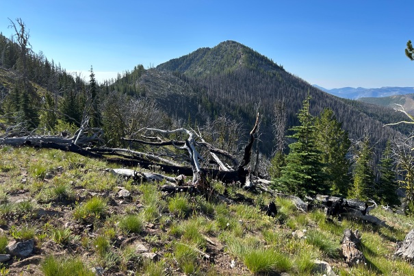 Uno Peak 