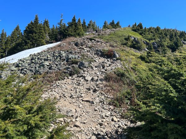 mailbox peak trail