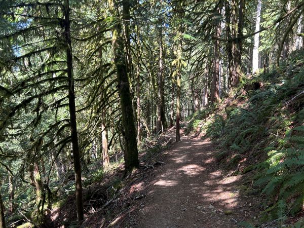 mailbox peak trail