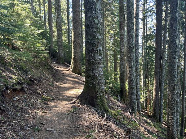 mailbox peak trail