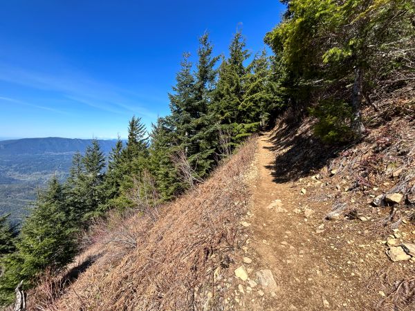 mailbox peak trail