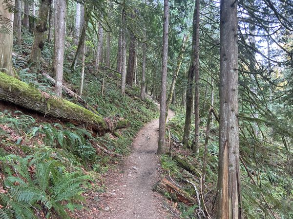 mailbox peak trail