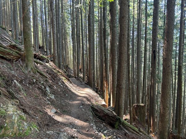 mailbox peak trail
