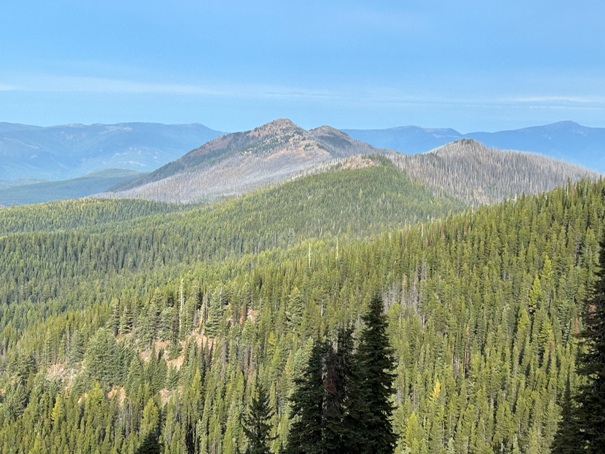 Hall Mountain