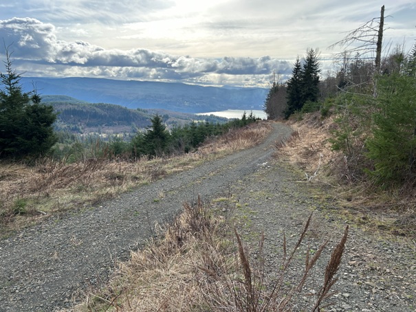 Riffe Lake