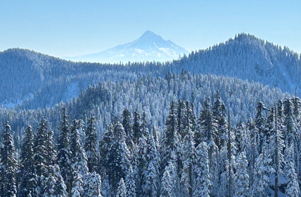 Mount Hood 