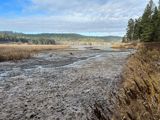 cougar bay