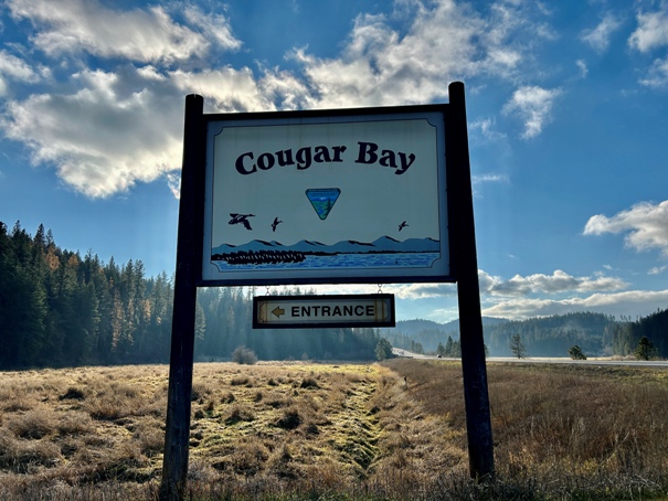 cougar bay