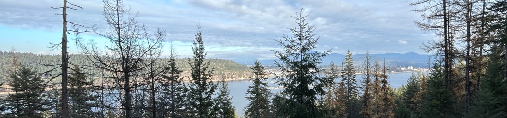 cougar bay nature reserve 