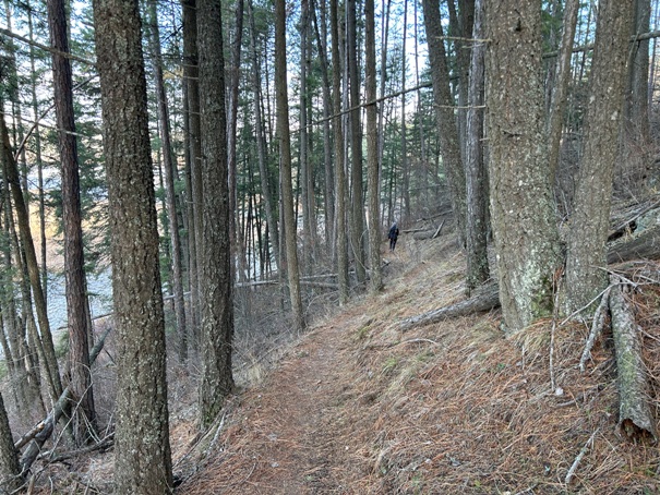 cougar bay nature reserve 