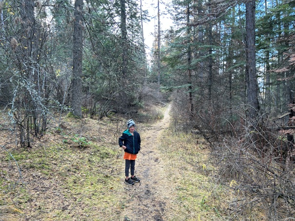 cougar bay nature reserve 