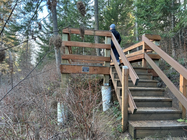observation platform