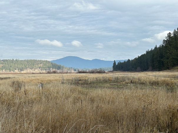 West Canfield Mountain