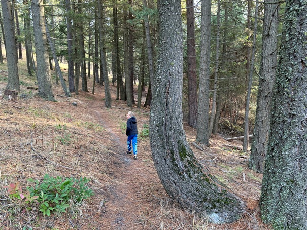 Fernan Lake trail