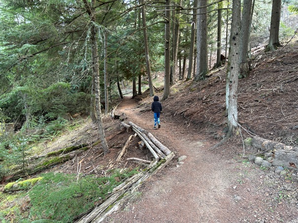 Fernan Lake trail