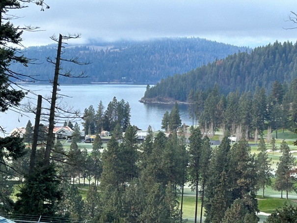 Lake Coeur d'Alene 