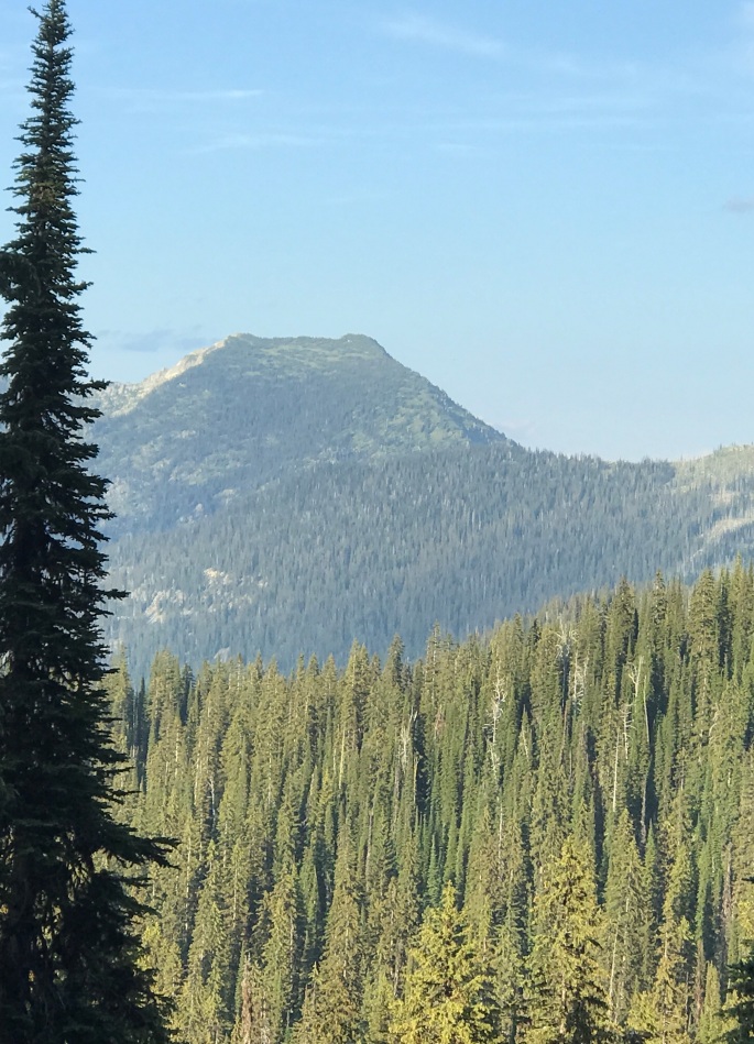 Shedroof Mountain Trail