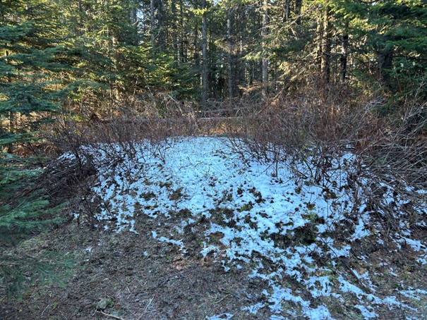 Elk Mountain Lookout site