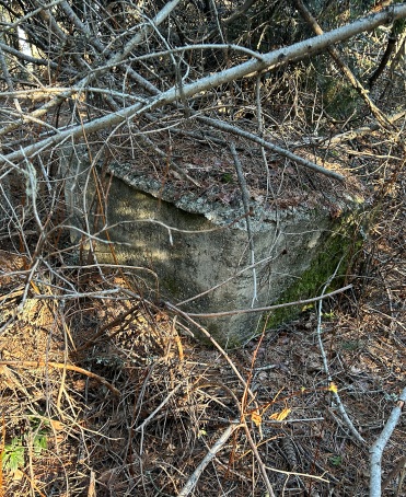 Elk Mountain Lookout site