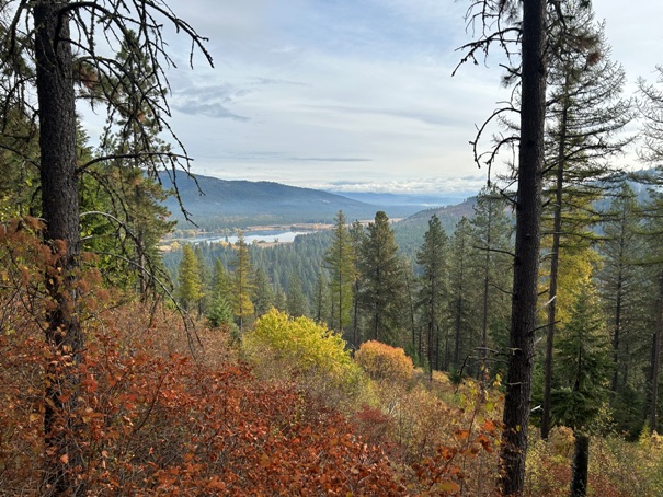 blanchard lake