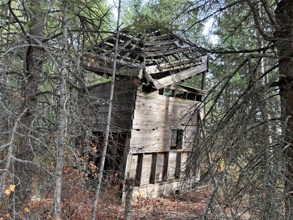 Poirier Tree Farm Lookout 