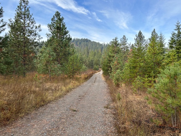 road hiking 