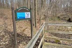 Stannard Quarry