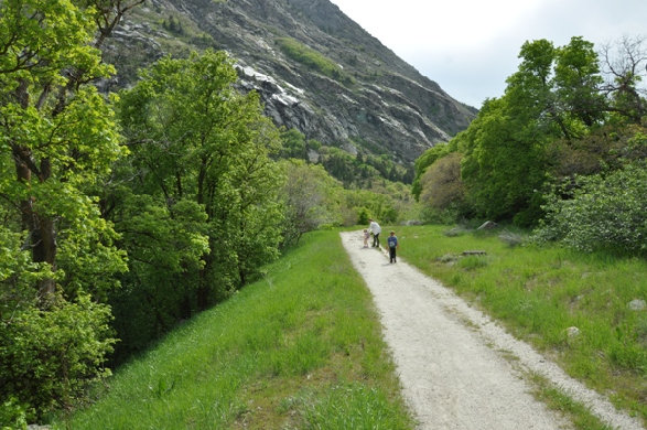 Little Cottonwood Trail