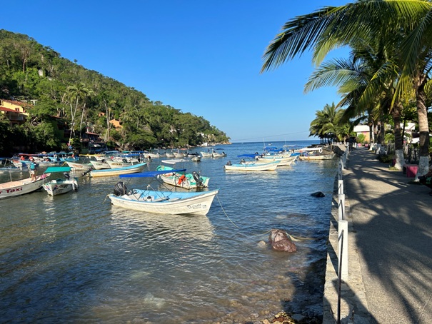 Boca De Tomatlan