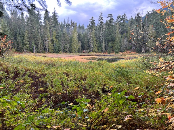 laughingwater creek trail