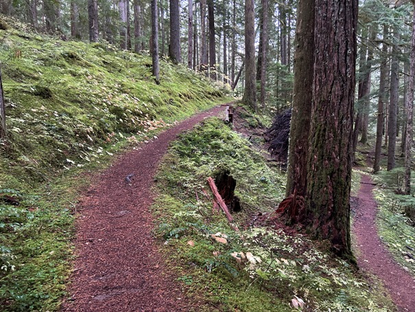 laughingwater creek trail