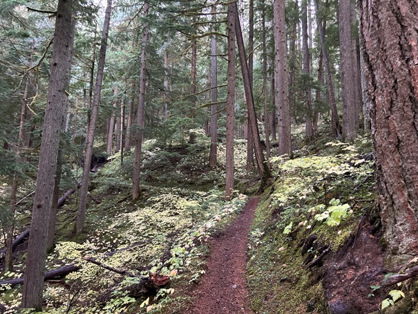 laughingwater creek trail