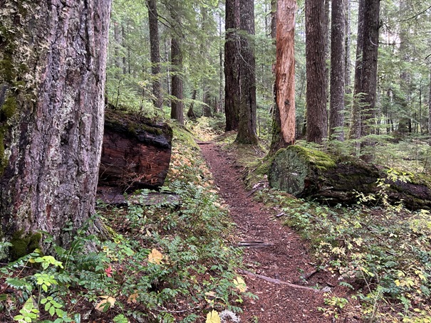 laughingwater creek trail