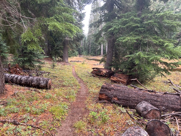 laughingwater creek trail