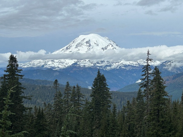 Mt. Rainier