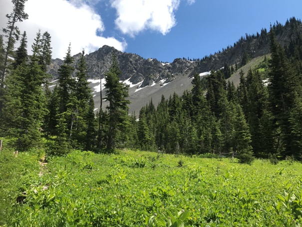 north cascades