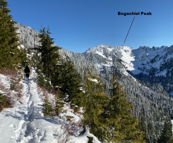 Bogachiel Peak and Sol Duc Falls