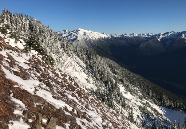 Upper Hoh River 