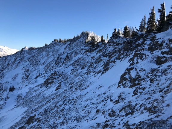 Bogachiel Peak