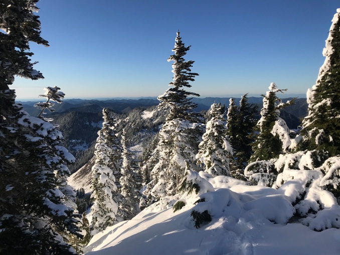 Bogachiel Peak